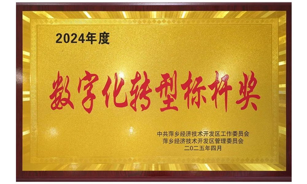 數(shù)字化轉(zhuǎn)型標(biāo)桿獎(jiǎng)